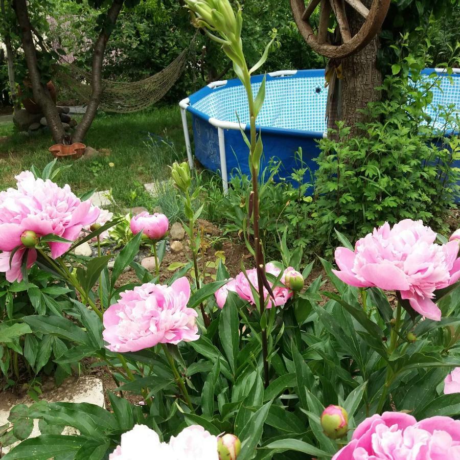 Sweet Home Dilijan Εξωτερικό φωτογραφία